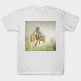 Tethered in the mist. T-Shirt